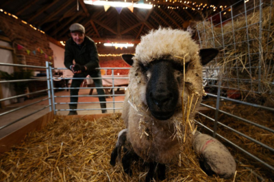Shropshire Farm Offers Free Entry To All For May Half Term Week